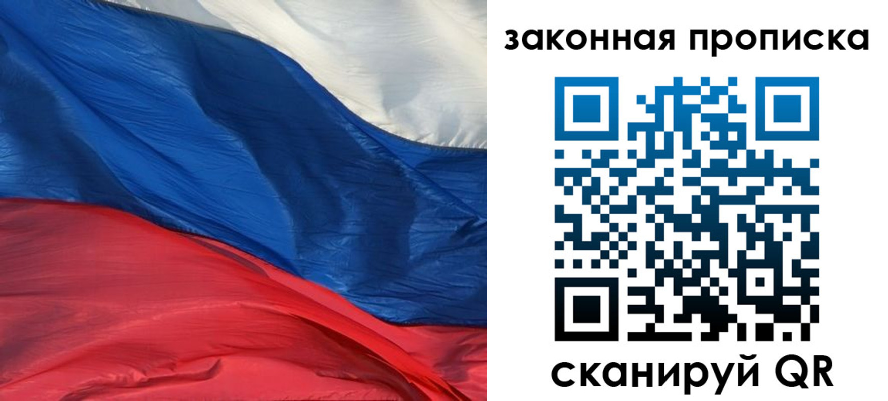 прописка в Кольчугино